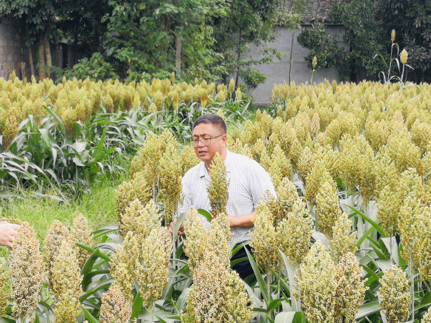 轻质建筑材料制造 第23页