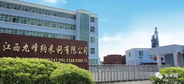 永丰上市公司的价值与影响探究