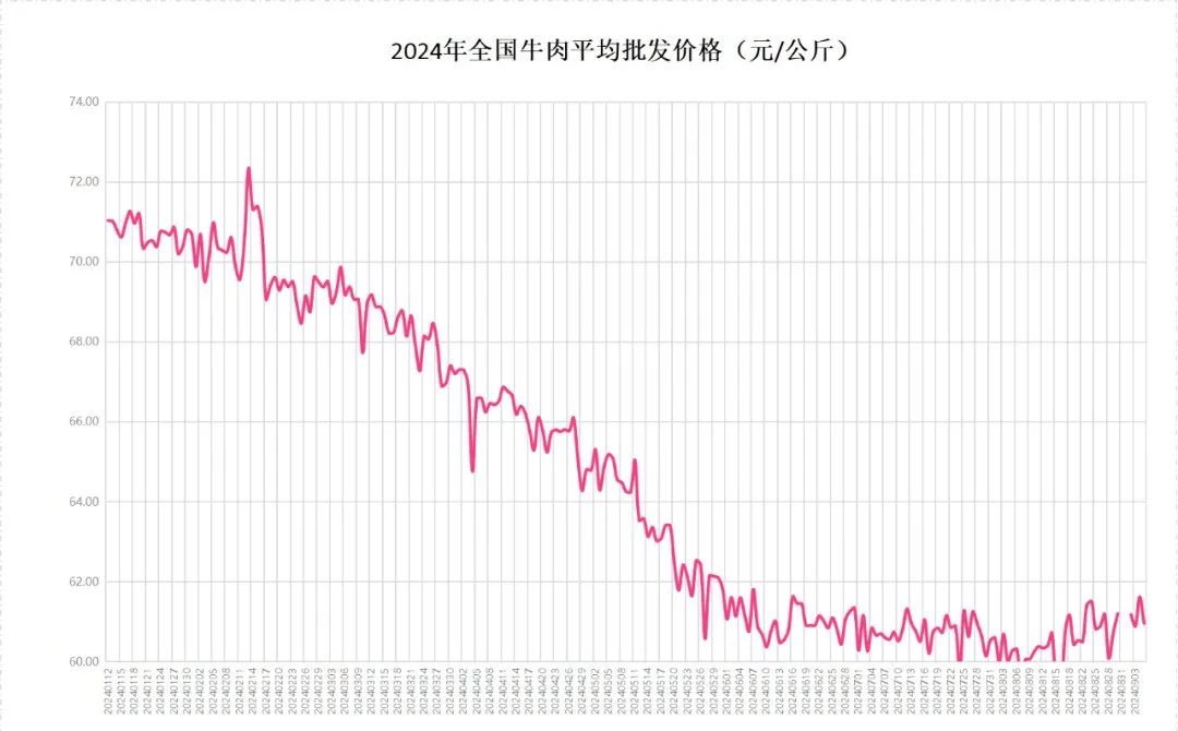 科技重塑肉牛市场新生态，今年肉牛市场行情展望与分析