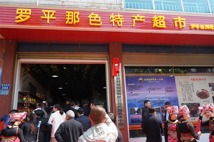 油菜籽最新报价更新及市场动态🌱🌽