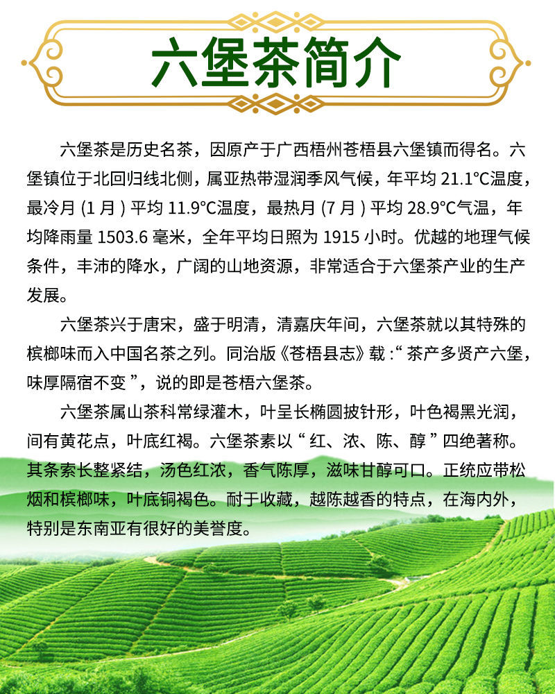 广西梧州六堡茶价格深度解析与探讨，市场行情、品质与价值探讨