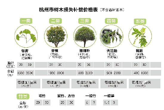 最新绿化苗木价格指南，如何获取理解苗木价格及市场行情分析