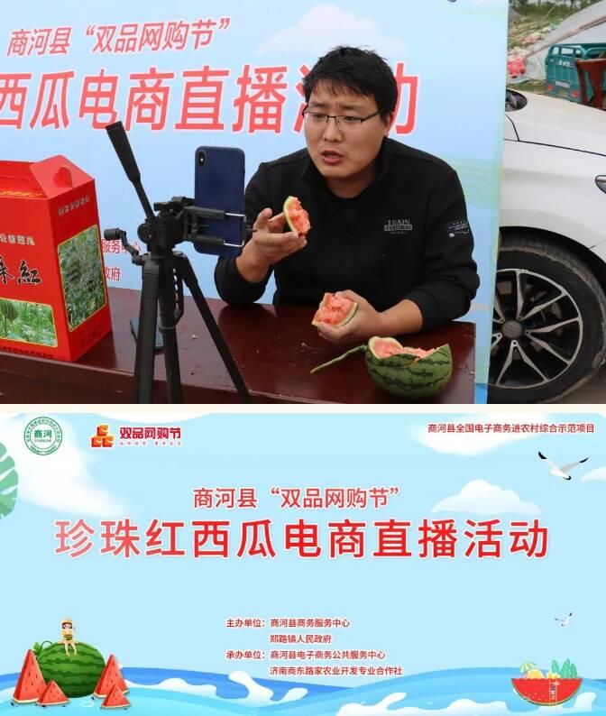 济南西瓜价格行情分析