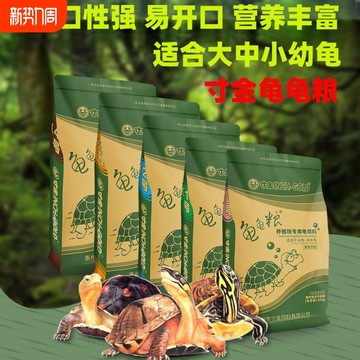 石金钱龟最新价格行情动态更新