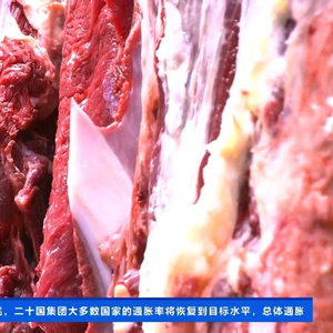 最新牛肉价格及小巷深处的牛肉风味探秘