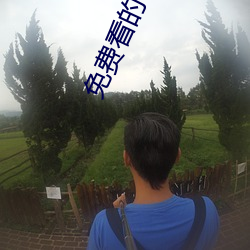 四虎最新影，影视热点聚焦与佳作深度探讨