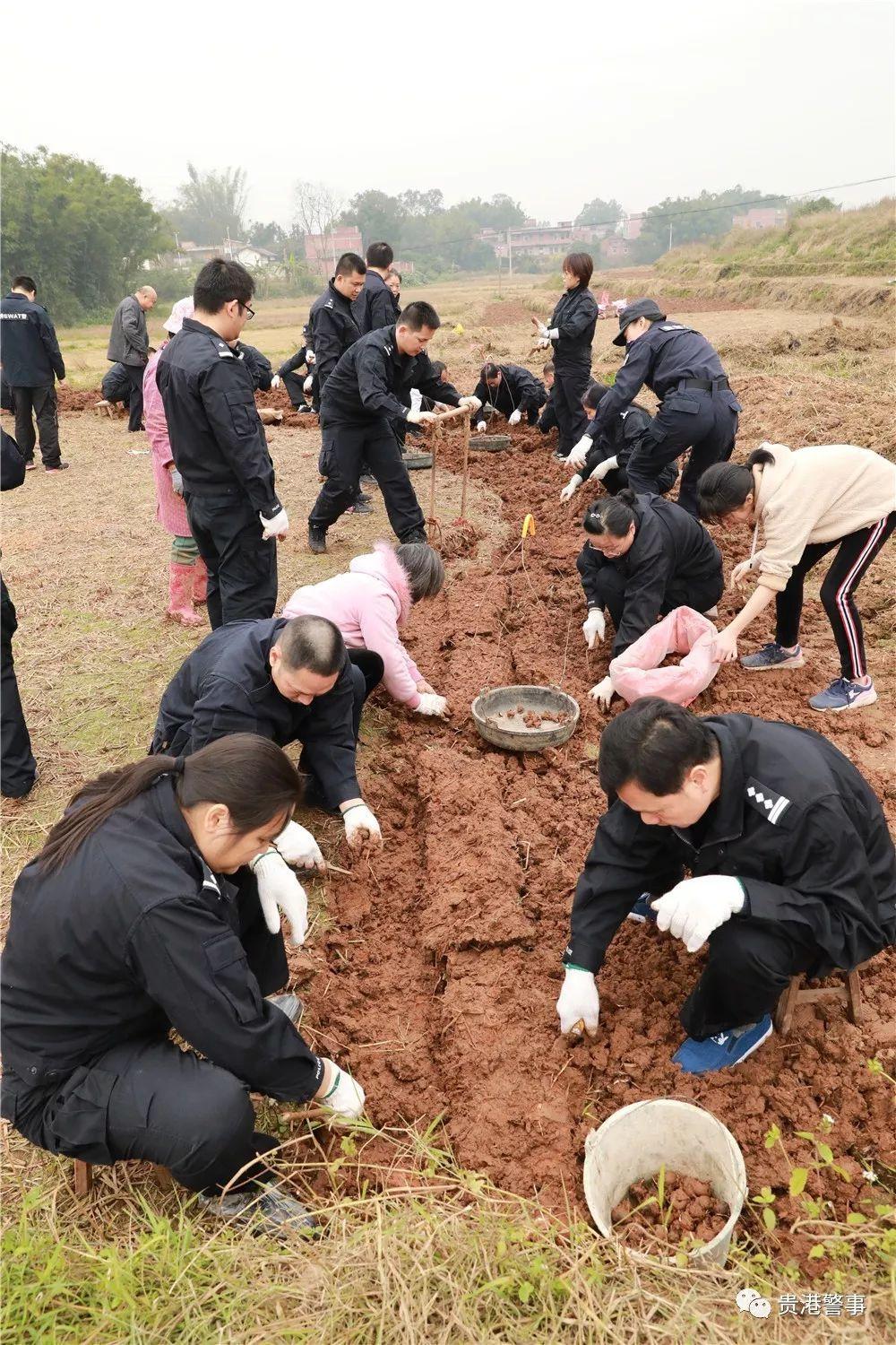 轻质建筑材料销售 第13页