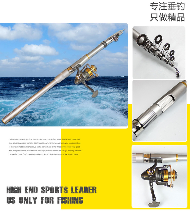 海竿最新风潮，乘风破浪，开启知识共舞新时代篇章