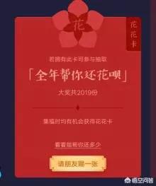 张花花最新，小巷深处的独特风情