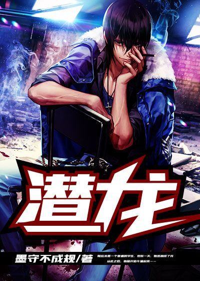 潜龙当道最新探索，新时代机遇与挑战揭秘