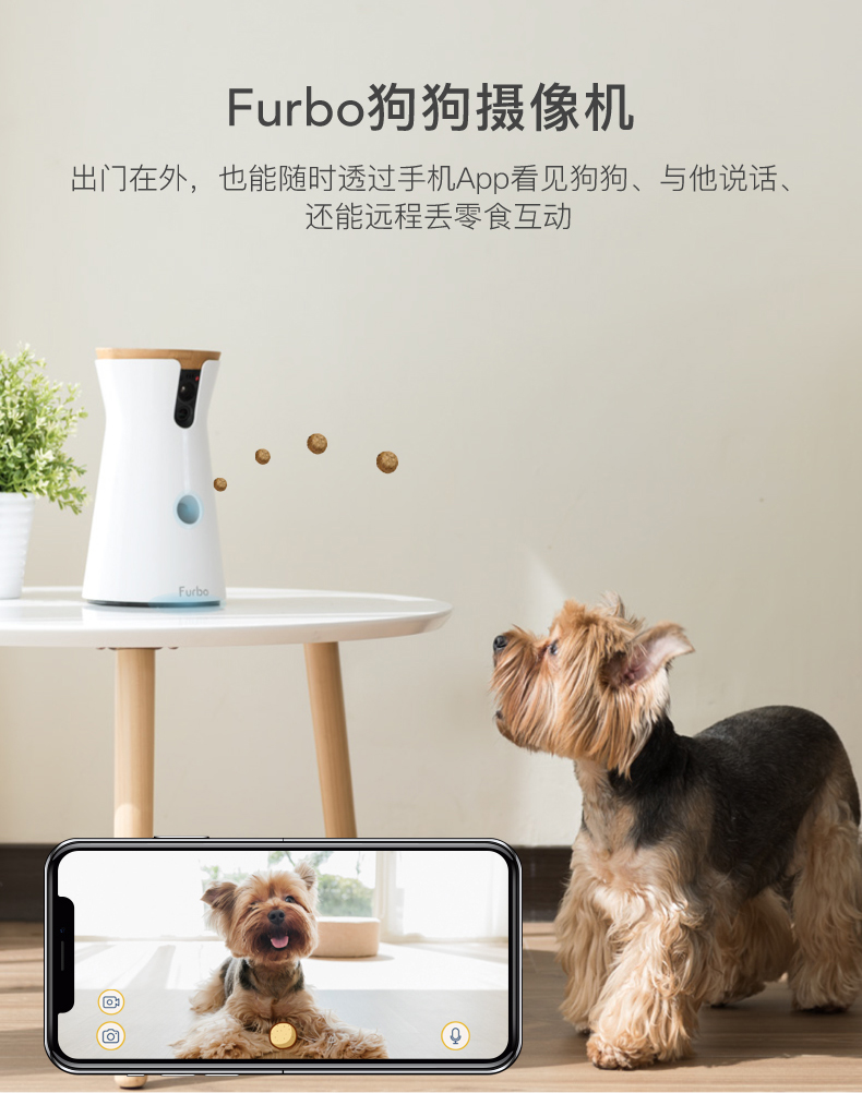 最新智能狗，科技宠物的革命性突破