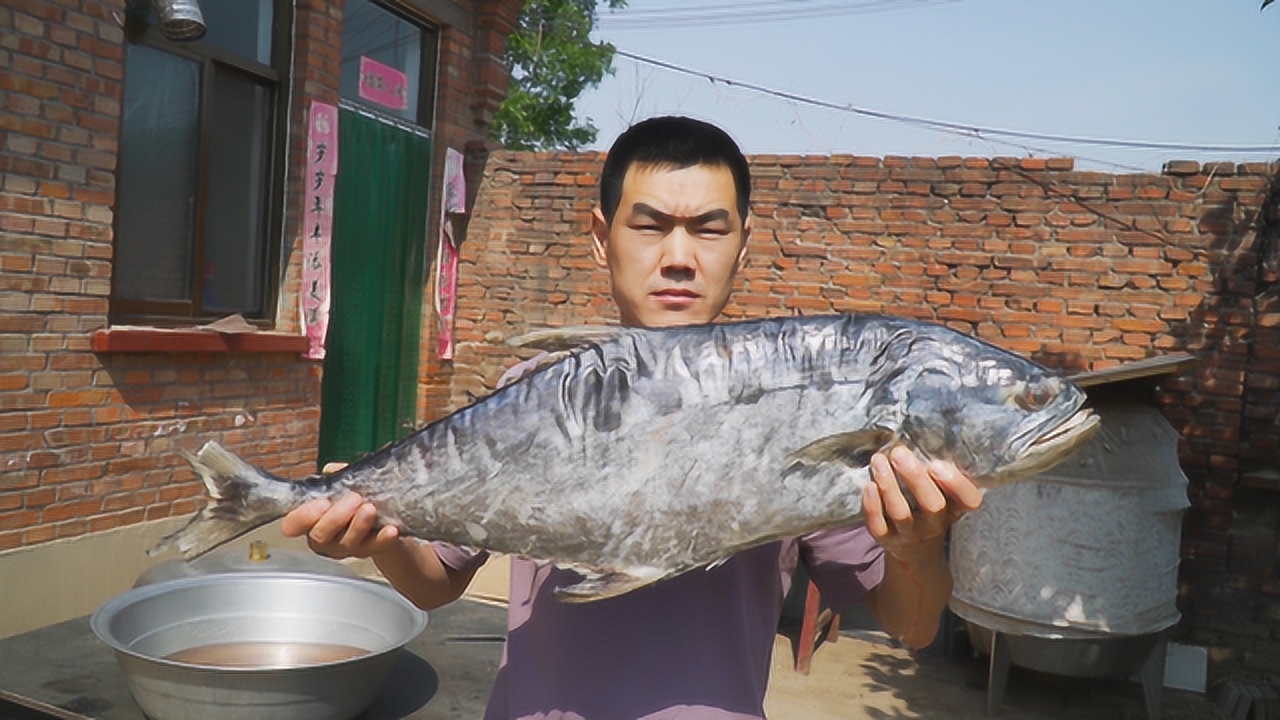 阿远最新，时代浪潮中的新星崛起