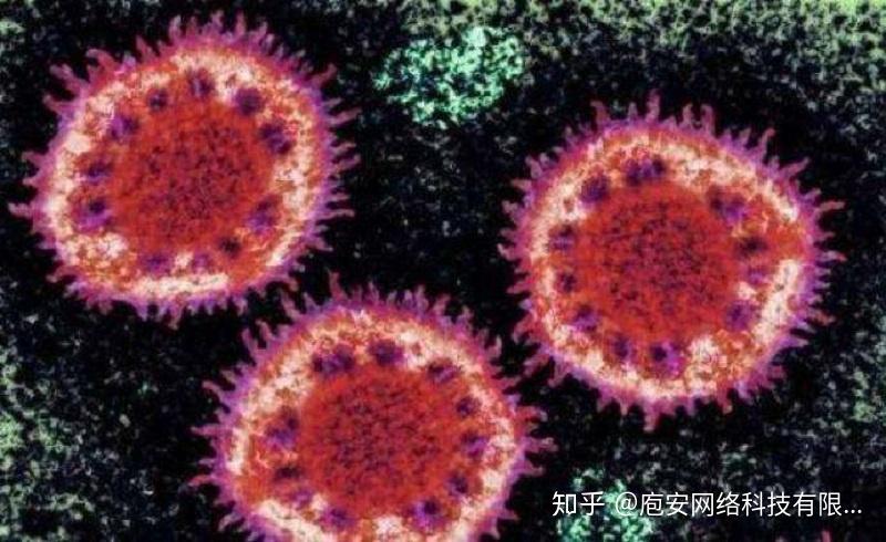 冠状病毒的最新状况更新
