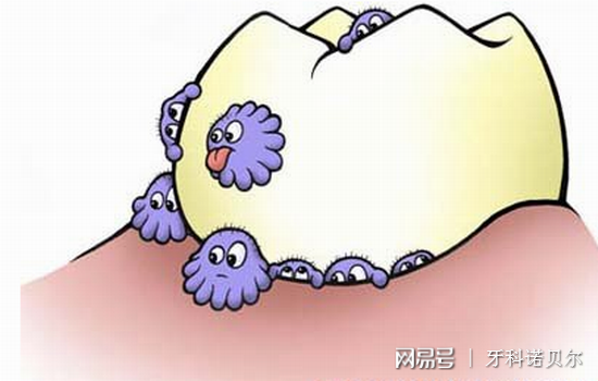 蛀牙最新研究，探索与洞见的新进展