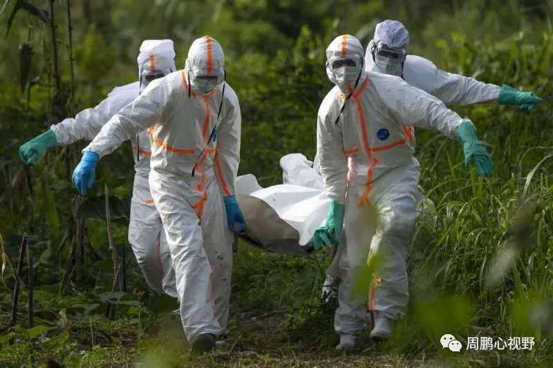 疫情最新突变下的自然美景治愈之旅