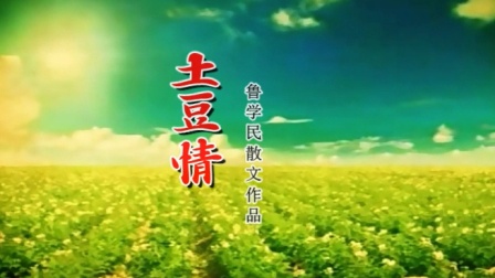 深度探讨土豆情最新现象，影响与价值分析