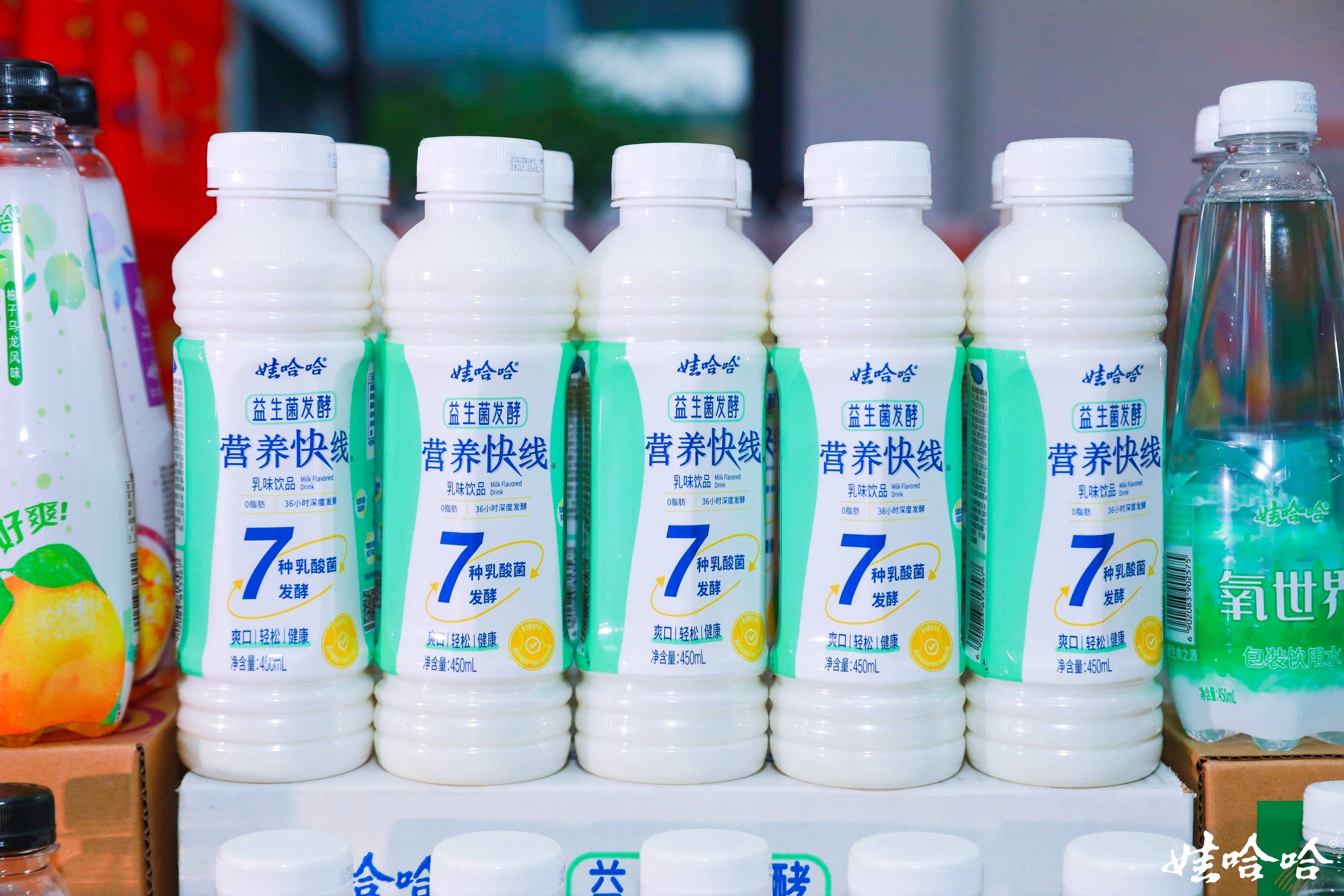 最新娃哈哈任务或技能学习指南，从初学者到进阶用户的详细步骤指南