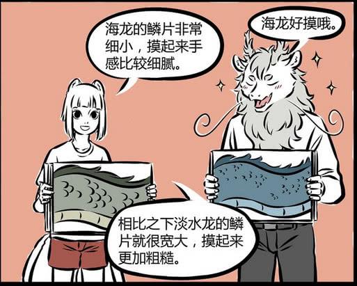 最新非人哉技能学习与实践指南