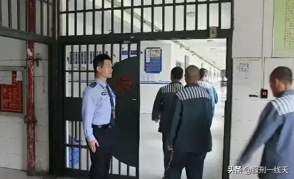 最新监狱假释动态与小巷深处的独特邂逅