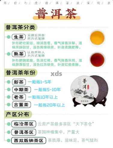 最新普洱泡茶与品鉴指南，从茶叶到茶杯的详细步骤解析
