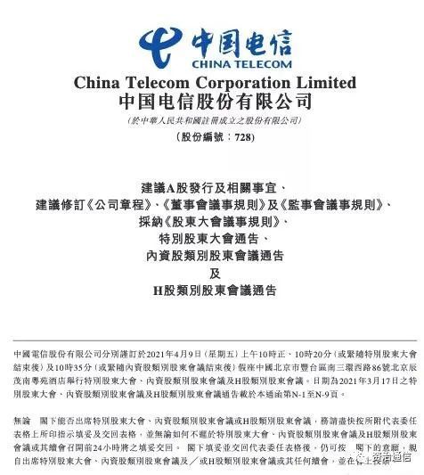 最新公告背后的温馨趣事揭秘
