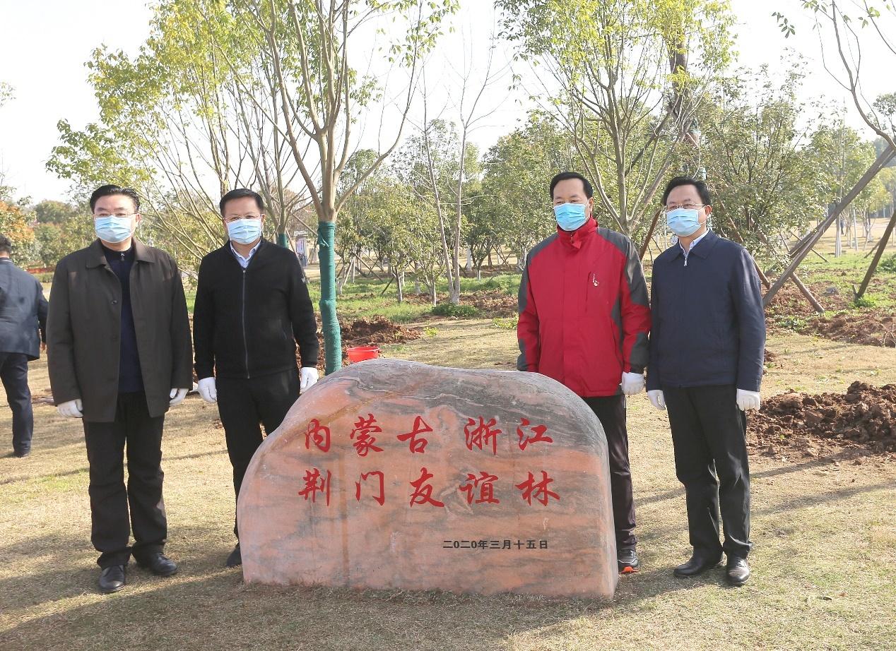 荆门最新疫情动态，变化中的力量与学习带来的自信与成就感