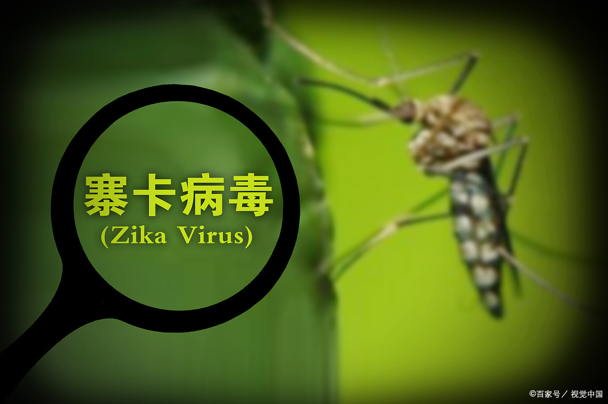 中国寨卡病毒最新动态与巷弄深处的神秘小店揭秘