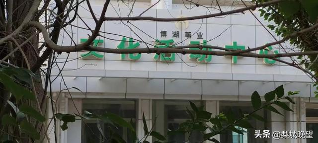 新疆博湖苇业最新动态与技能获取指南，掌握资讯，掌握未来！
