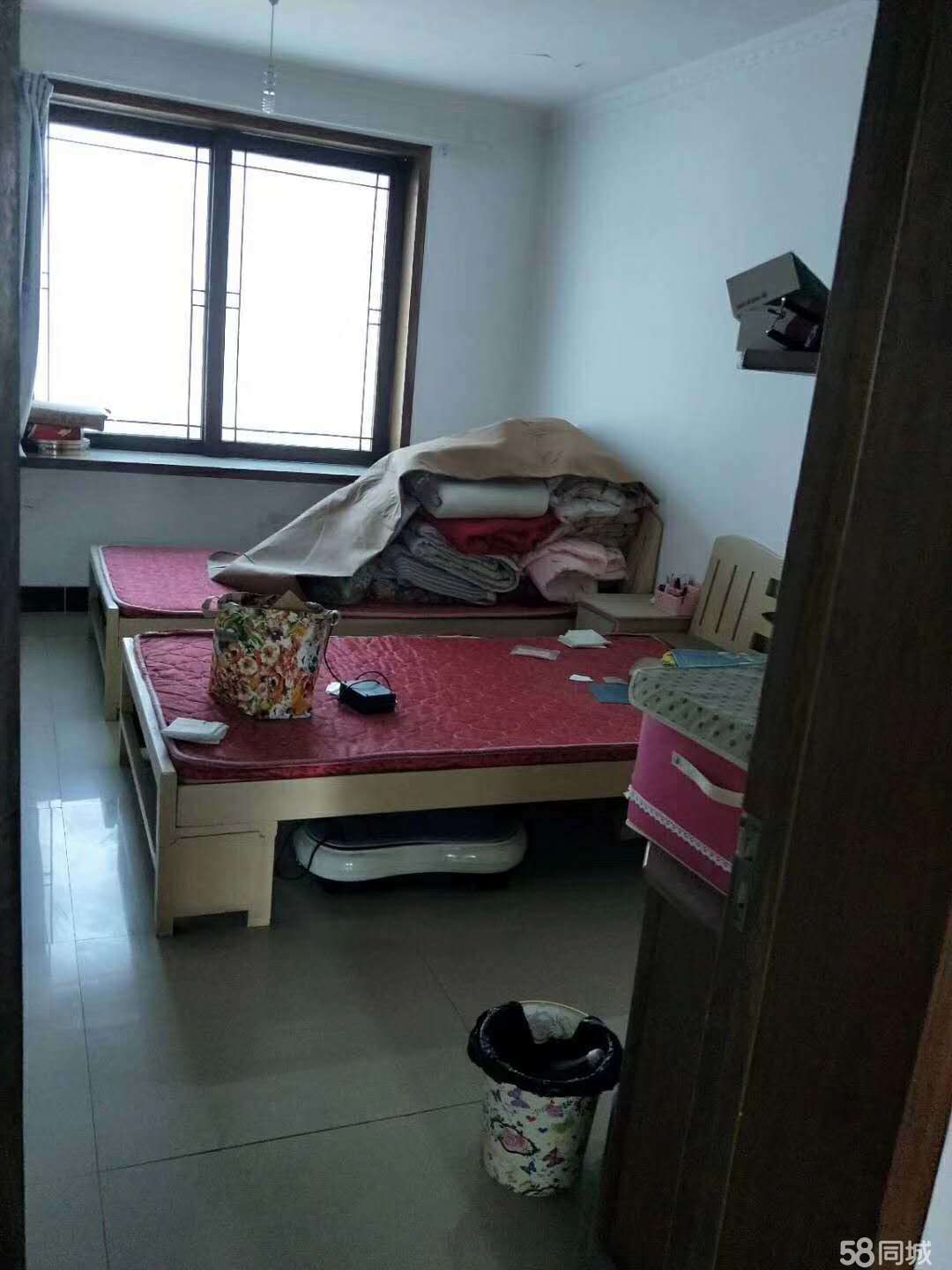 沈丘租房网最新动态，变化中的学习之旅，成就感的源泉
