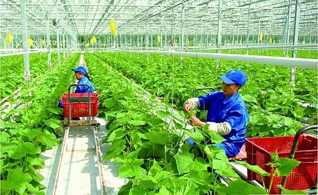 农农最新图片分享，获取与欣赏指南，助你成为农业摄影达人