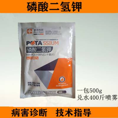 磷酸最新哈g，寻找内心平静的奇妙探险