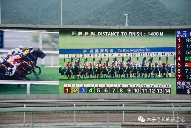 2024香港赛马全年免费资料,解答配置方案_体育版8.965