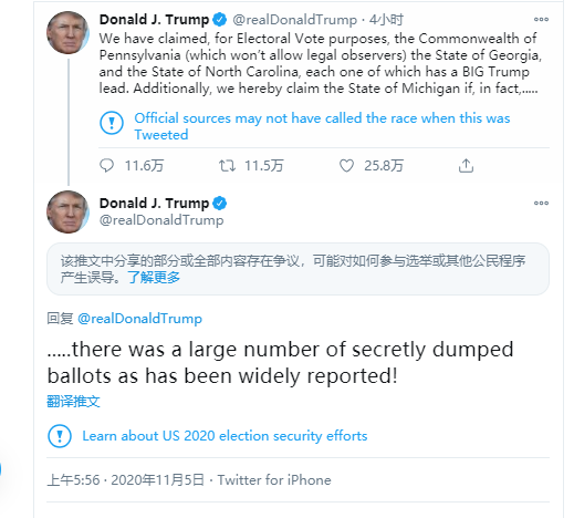 美国选举最新报告深度解析，选举态势与多方观点透视