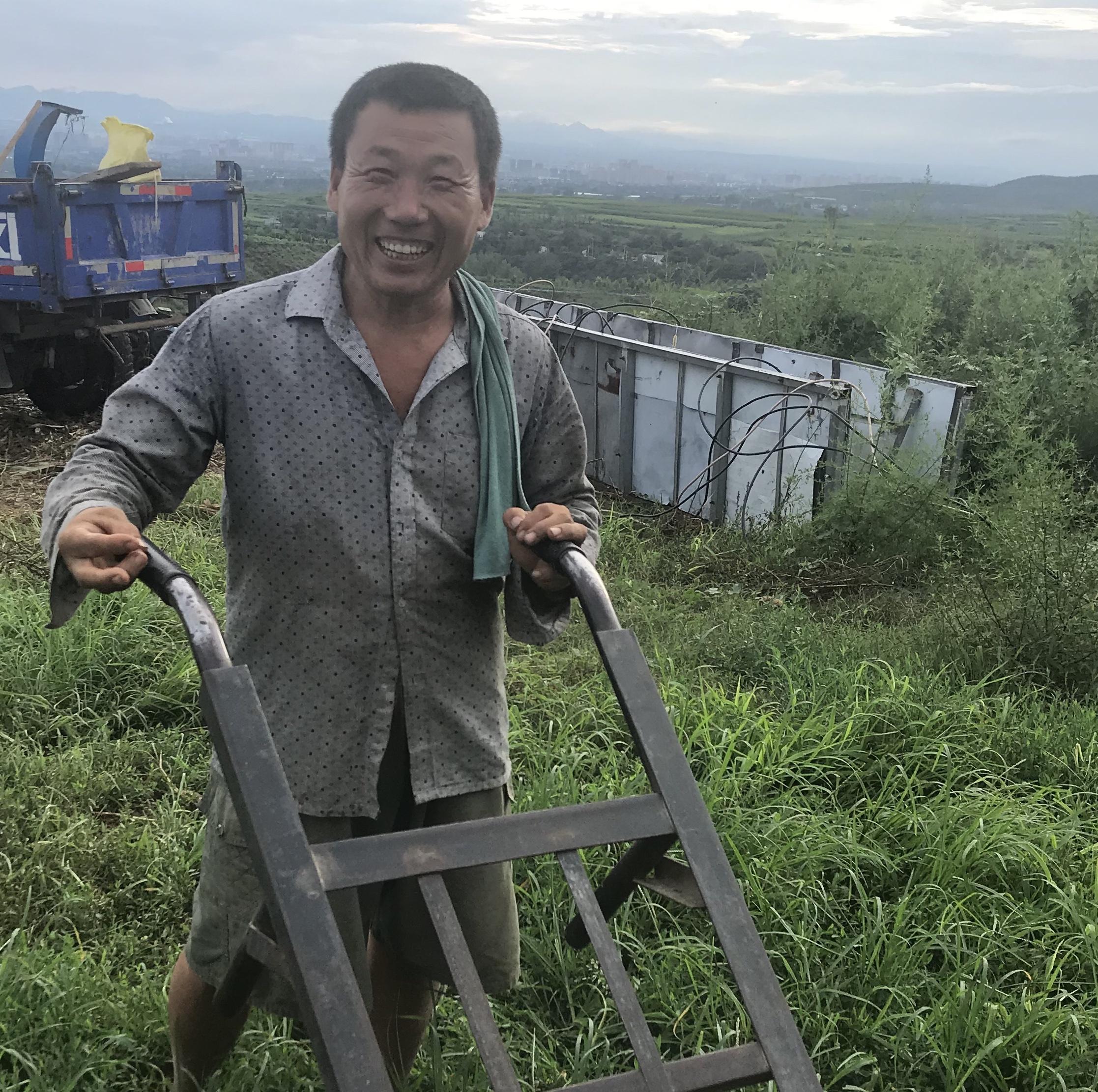 汝州最新猪价概览，实时更新与深度解析