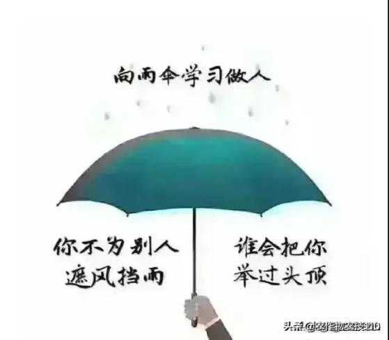 最新冠状新型病毒的信息,最新冠状新型病毒的信息及其影响，一种观点论述