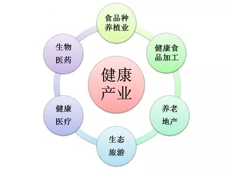 健康产业最新动态与展望，蓬勃发展势头强劲 💪🌱
