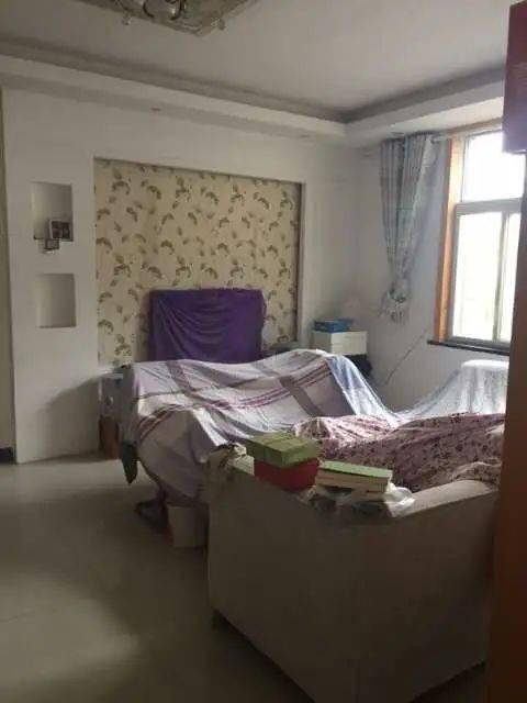 轻质建筑材料制造 第225页
