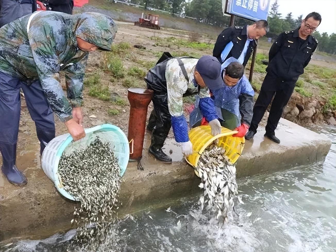 建筑砌块销售 第274页