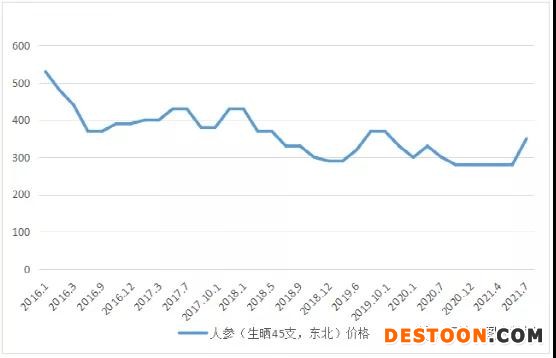 揭秘人参最新市场价格，小红书分享