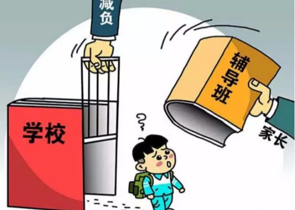 最新教育政策解读与概览