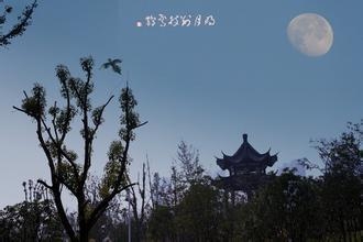 别枝新篇,🌸别枝新篇，绽放青春色彩✨