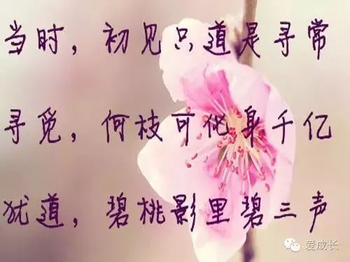 给共青团的三行情书与前沿科技产品介绍