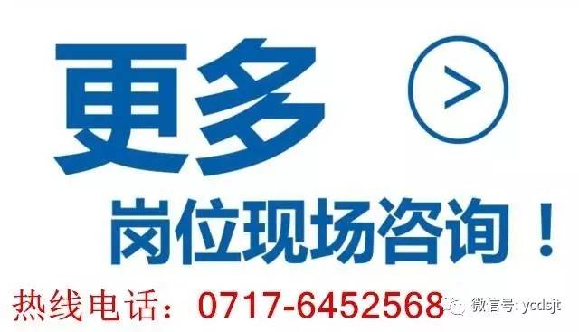 漳州东山招聘信息概览，最新岗位与求职指南