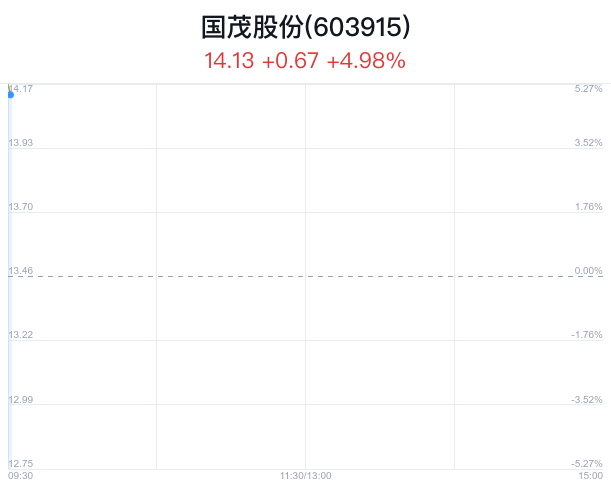 国茂股票深度解析，探寻投资价值之道