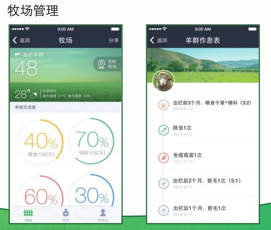 养殖收益最新动态，商机来临，你准备好了吗？
