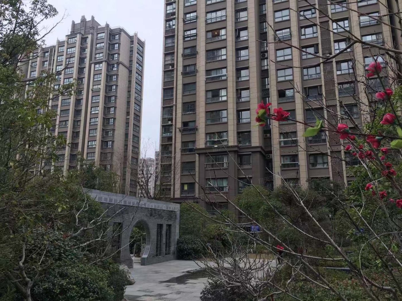 文承熙苑最新价格指南，全面解析最新价格信息