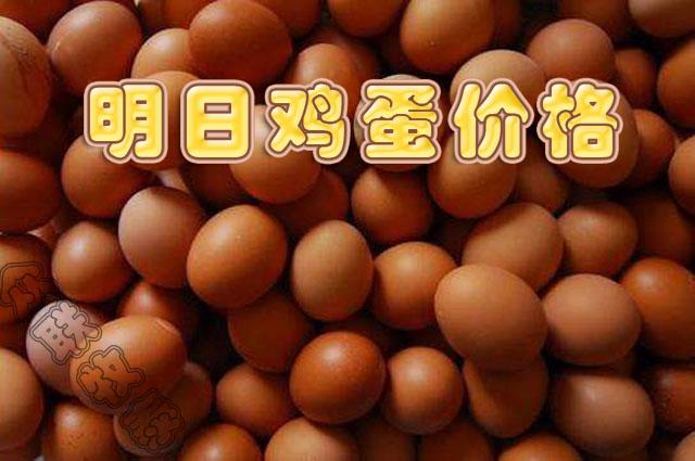 鸡蛋价格最新行情分析与查询指南，最新行情解析及趋势预测