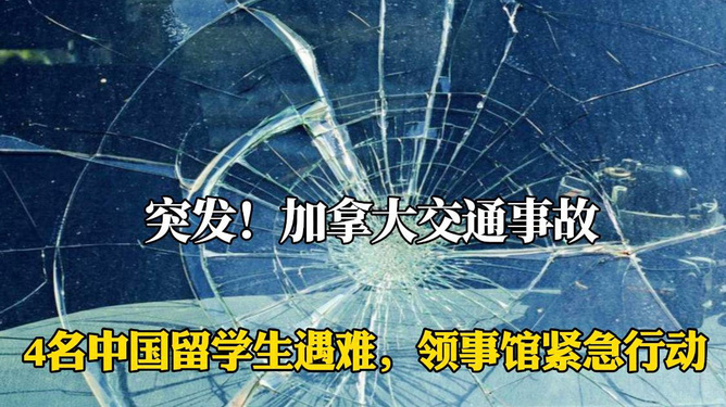 徐州交通事故最新动态，意外中的温情故事传递希望之光