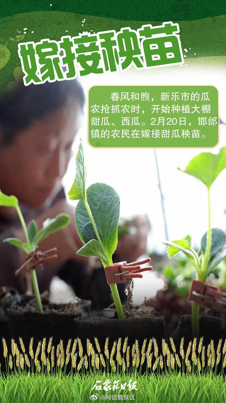 轻质建筑材料销售 第17页
