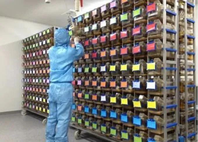 最新测试疫苗